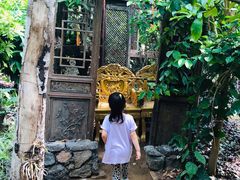 各种拍照座位-呀路古热带植物园