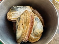 -亚马逊蒸汽活海鲜自助(LCM置汇旭辉广场店)