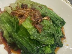 -百利鸽王(紫薇路店)