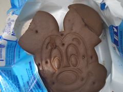 -奥兰多迪士尼动物王国乐园