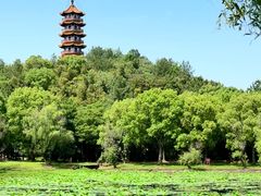 -天下玉苑