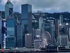 -海港城