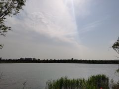 -绿堤公园