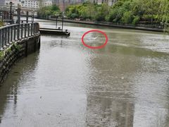 -苏州河梦清园环保主题公园