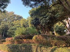 -上海市保健医疗中心