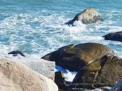 -广东惠东海龟国家级自然保护区