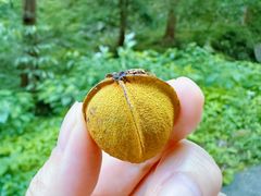 -东天目山风景区