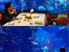 -迪拜帆船酒店海底餐厅