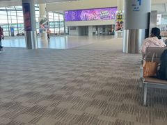 -上海浦东国际机场-T2航站楼
