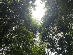 -广州市帽峰山景区