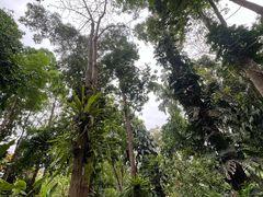 -中国科学院西双版纳热带植物园