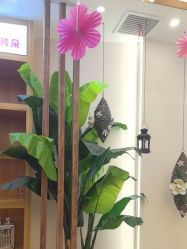 -芳朵美容养生SPA