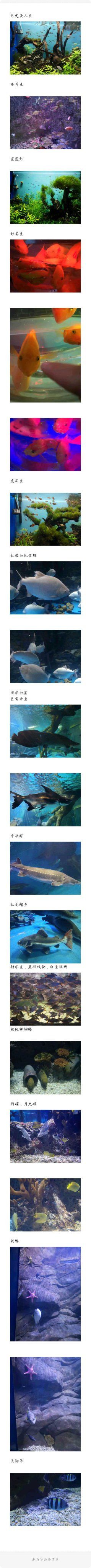 -多彩贵州城极地海洋世界