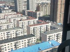 -影都会酒店式主题情侣私人影院猫舍猫咖店(中街店)