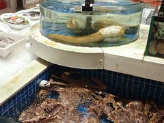 -渔人码头(中南店)