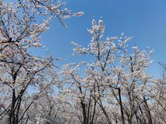-龙美术馆(西岸馆)