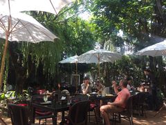-Fern Forest Cafe