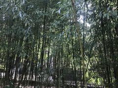 -竹泉村旅游度假区