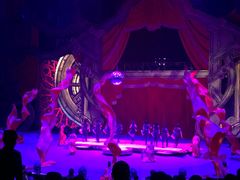 -珠海横琴长隆《卡卡虎奇遇记》