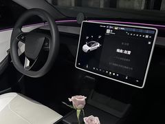 -TESLA 特斯拉(郑州正弘城体验店)