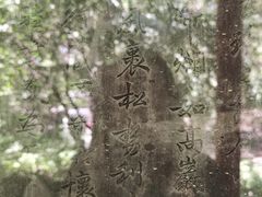 -文瀛公园
