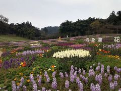 -保利石象湖景区