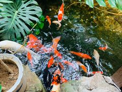 -聚缘堂·海鲜私房菜(松岭路店)
