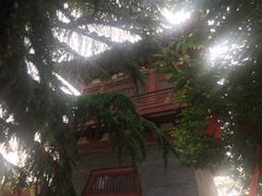 -西安青龙寺遗址景区