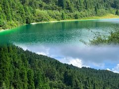 -武陵山森林公园