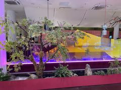 -九鼎轩火锅大排挡