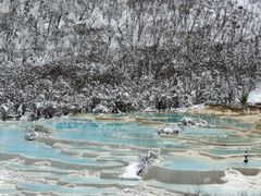 -黄龙山原始森林景区