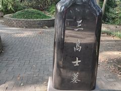 -上海佘山国家森林公园天马山园