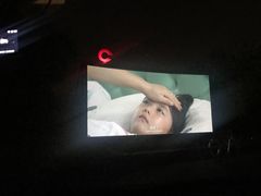 -枫花园汽车电影院(朝阳公园店)
