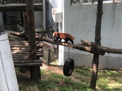 -大连森林动物园