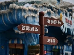 -石家庄极地海洋世界