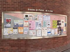 -香港理工大学