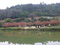 -南国桃园旅游度假区