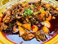 -青城甲(青城山店)