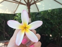 -三亚湾红树林度假世界(木棉酒店)