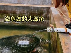 -硇洲岛旅游区