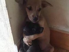 -武清南湖绿博园