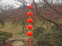 -无锡梅园公园