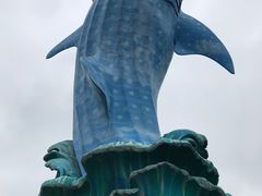 -珠海长隆海洋王国