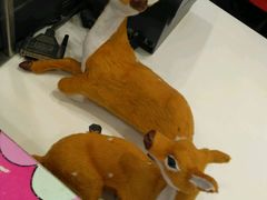 -DQ冰淇淋(天津麦购店)
