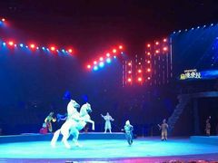 -珠海横琴长隆《卡卡虎奇遇记》