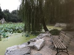 -清华大学-甲所餐厅