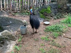 -昆明动物园