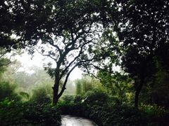 -张坝桂圆林公园
