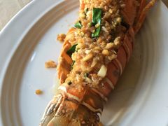 -Red Lobster