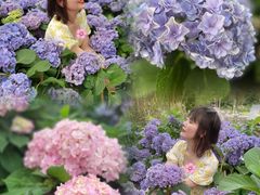 -广西壮族自治区药用植物园